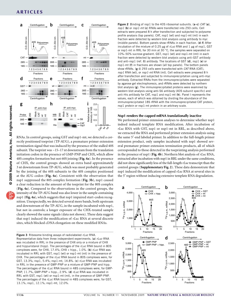 【病毒外文文献】2009 A two-pronged strategy to suppress host protein synthesis by SARS coronavirus Nsp1 protein_第3页