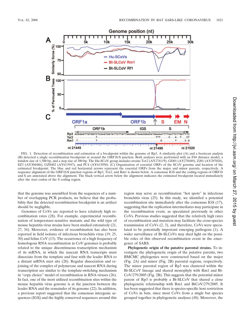 【病毒外文文献】2008 Evidence of the Recombinant Origin of a Bat Severe Acute Respiratory Syndrome (SARS)-Like Coronavirus and Its Impli_第3页