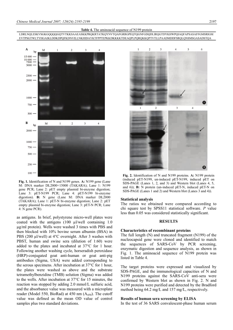 【病毒外文文献】2007 Comparison of effectiveness of whole viral, N and N199 proteins by ELISA for the rapid diagnosis of severe acute re_第3页