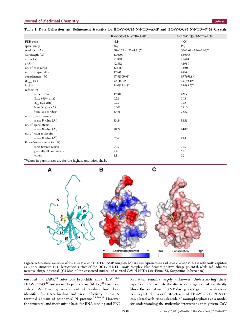 【病毒外文文献】2014 Structural Basis for the Identification of the N-Terminal Domain of Coronavirus Nucleocapsid Protein as an Antivira_第2页