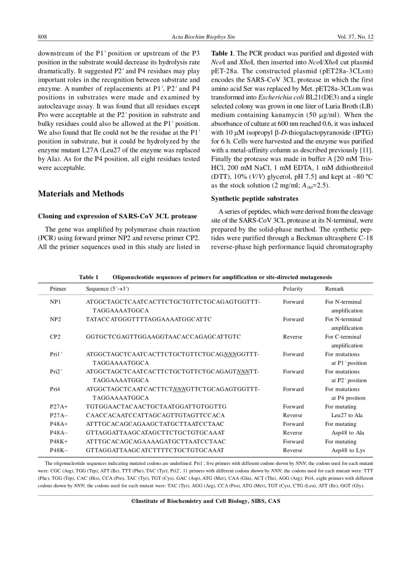 【病毒外文文献】2005 Study on Substrate Specificity at Subsites for Severe Acute Respiratory Syndrome Coronavirus 3CL Protease_第2页