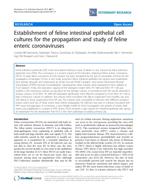 【病毒外文文獻(xiàn)】2013 Establishment of feline intestinal epithelial cell cultures for the propagation and study of feline enteric coronav