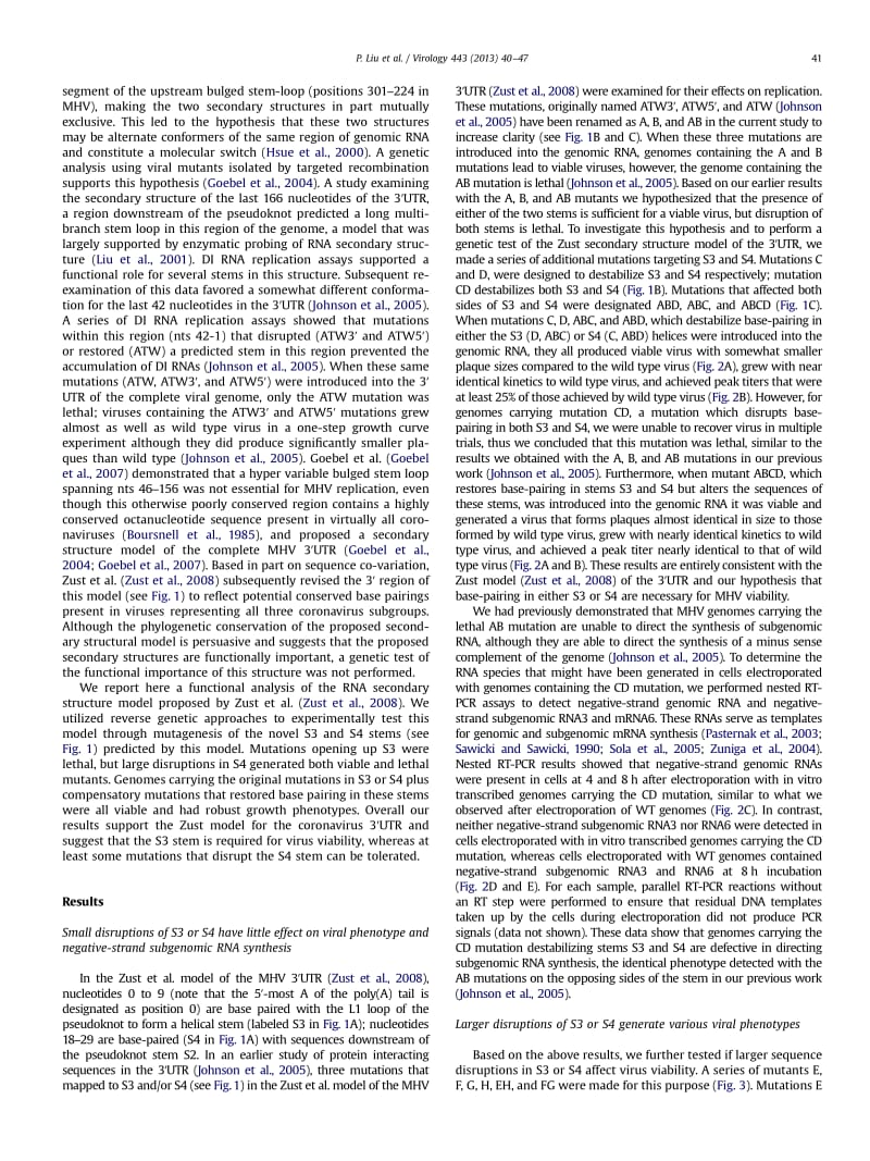 【病毒外文文献】2013 Functional analysis of the stem loop S3 and S4 structures in the coronavirus 3_UTR_第2页