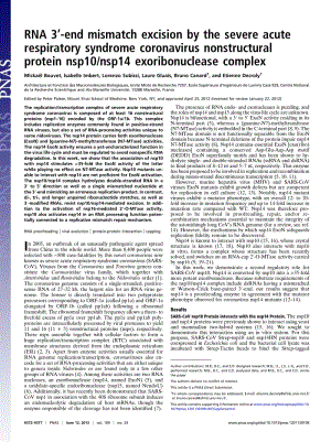 【病毒外文文獻(xiàn)】2012 RNA 3_-end mismatch excision by the severe acute respiratory syndrome coronavirus nonstructural protein nsp10_nsp14