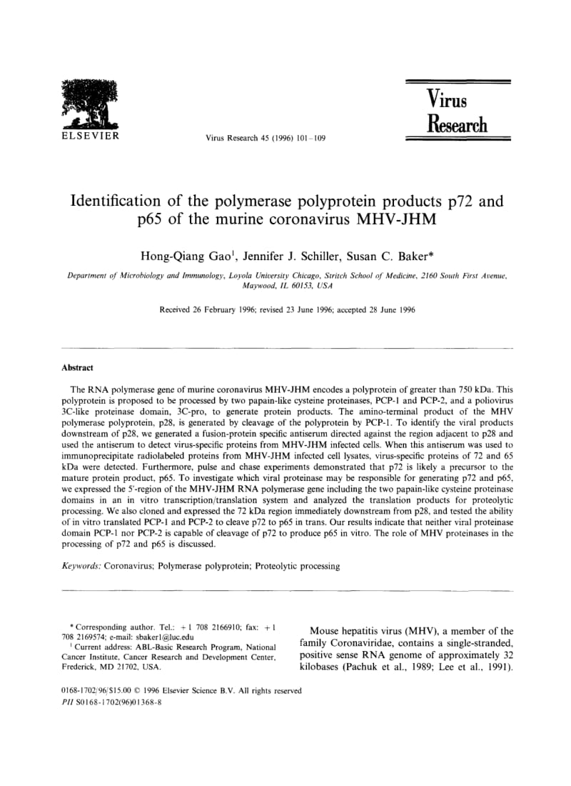【病毒外文文献】1996 Identification of the polymerase polyprotein products p72 and p65 of the murine coronavirus MHV-JHM_第1页