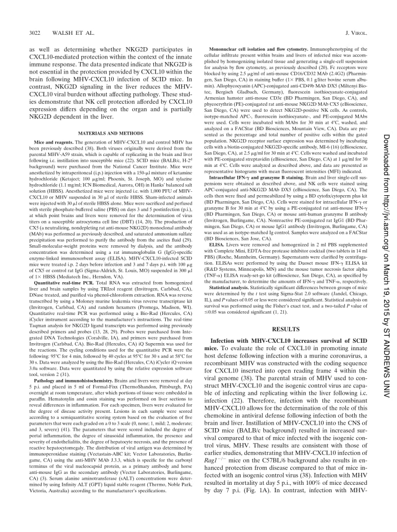【病毒外文文献】2008 Evidence for Differential Roles for NKG2D Receptor Signaling in Innate Host Defense against Coronavirus-Induced Neu_第2页
