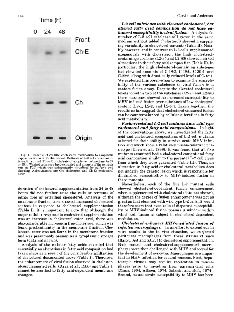 【病毒外文文献】1991 Modulation of coronavirus-mediated cell fusion by homeostatic control of cholesterol and fatty acid metabolism_第3页