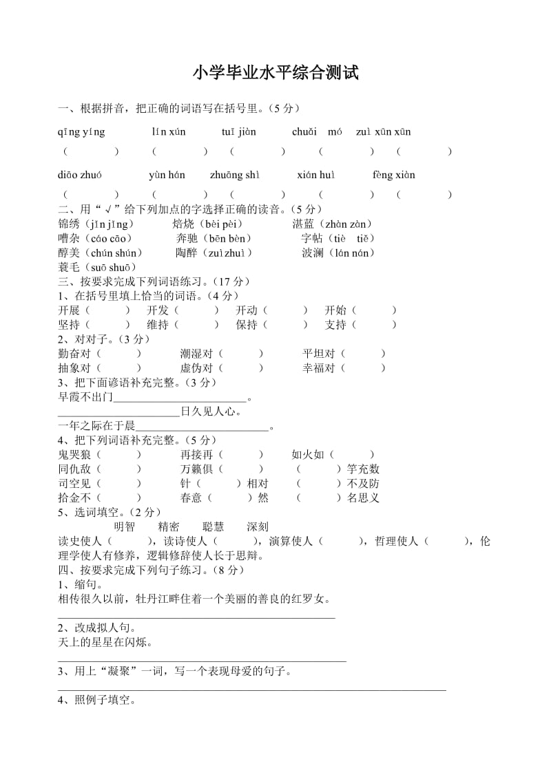 小学毕业水平综合测试.doc_第1页