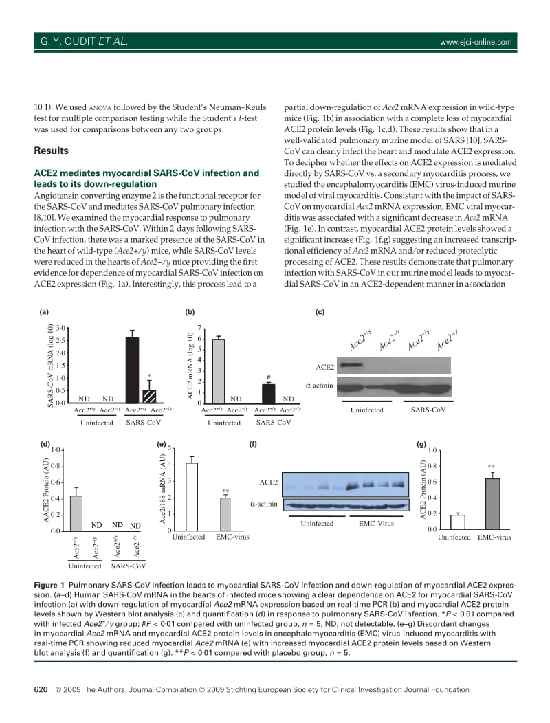【病毒外文文献】2009 SARS-coronavirus modulation of myocardial ACE2 expression and inflammation in patients with SARS_第3页