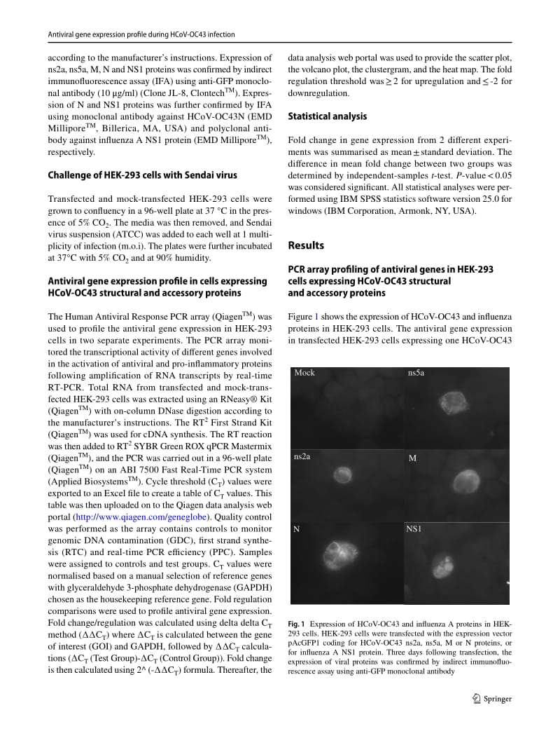 【病毒外文文献】2018 PCR array profiling of antiviral genes in human embryonic kidney cells expressing human coronavirus OC43 structural_第3页
