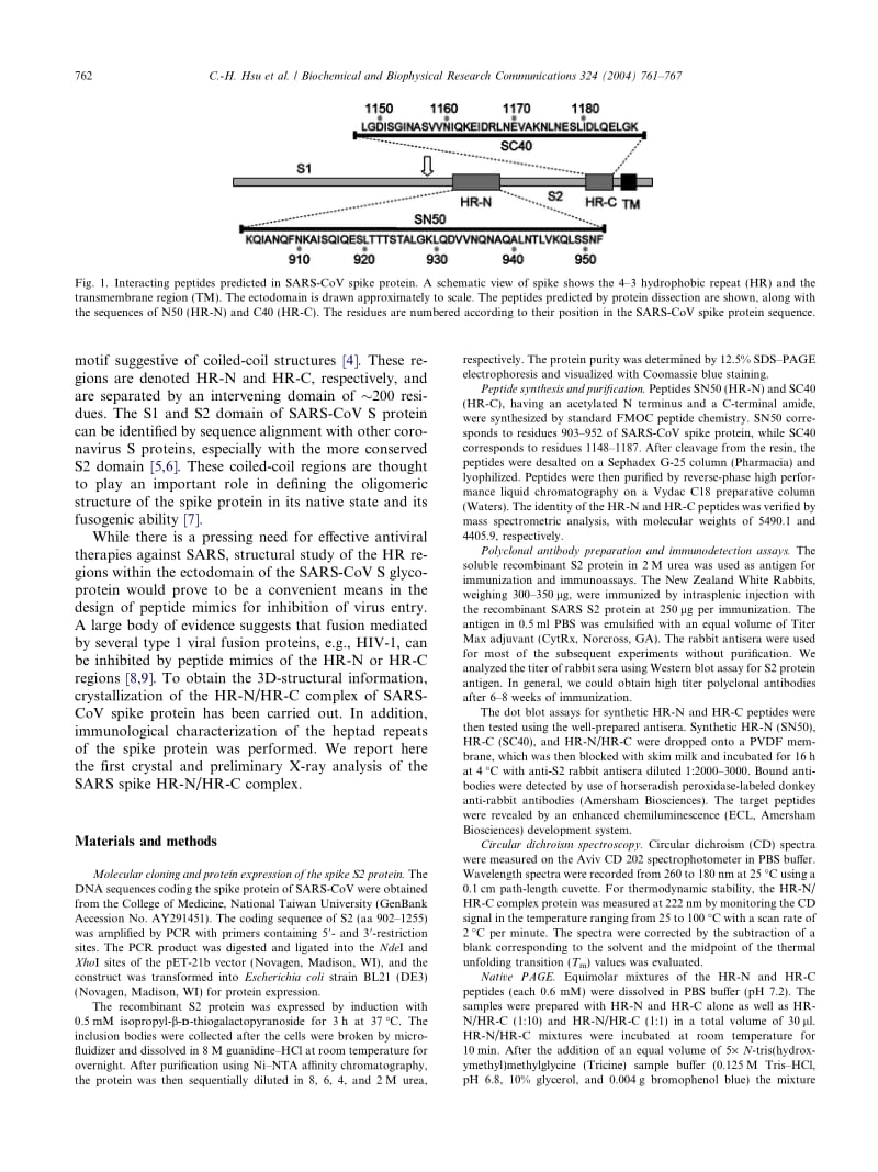 【病毒外文文献】2004 Immunological, structural, and preliminary X-ray diffraction characterizations of the fusion core of the SARS-coron_第2页