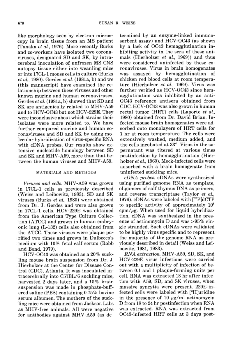 【病毒外文文献】1983 Coronaviruses SD and SK share extensive nucleotide homology with murine coronavirus MHV-A59, more than that shared_第2页