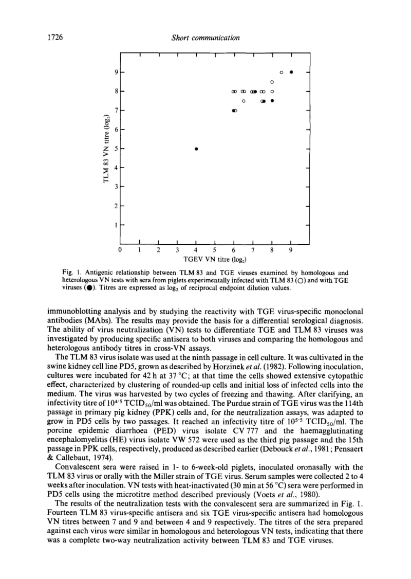 【病毒外文文献】1988 Antigenic Differentiation between Transmissible Gastroenteritis Virus of Swine and a Related Porcine Respiratory Co_第2页