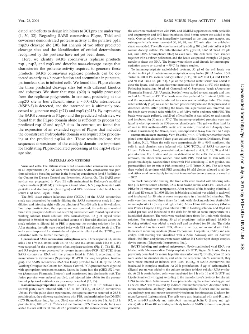 【病毒外文文献】2004 Identification of Severe Acute Respiratory Syndrome Coronavirus Replicase Products and Characterization of Papain-L_第2页
