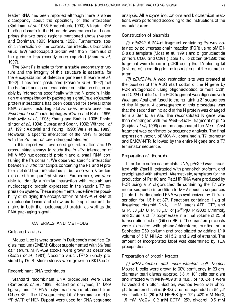 【病毒外文文献】1997 Identification of a Specific Interaction between the Coronavirus Mouse Hepatitis Virus A59 Nucleocapsid Protein and_第2页