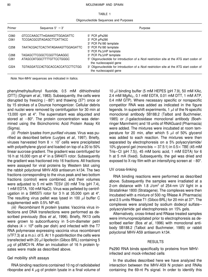 【病毒外文文献】1997 Identification of a Specific Interaction between the Coronavirus Mouse Hepatitis Virus A59 Nucleocapsid Protein and_第3页