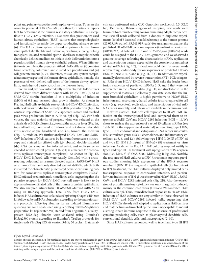 【病毒外文文献】2013 Efficient Replication of the Novel Human Betacoronavirus EMC on Primary Human Epithelium Highlights Its Zoonotic Po_第3页