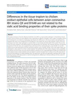 【病毒外文文獻】2014 Differences in the tissue tropism to chicken oviduct epithelial cells between avian coronavirus IBV strains QX and