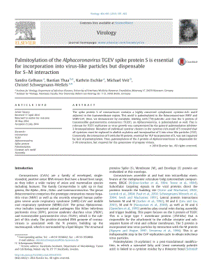 【病毒外文文獻(xiàn)】2014 Palmitoylation of the Alphacoronavirus TGEV spike protein S is essential for incorporation into virus-like particle