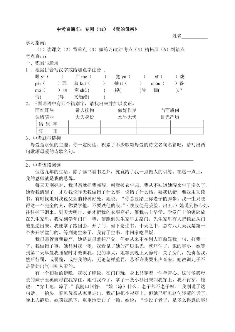 中考直通车：专列《我的母亲》.doc_第1页