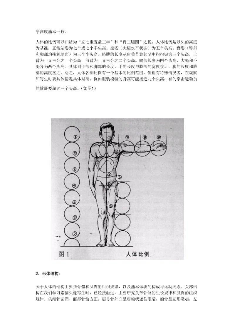 美术高考人物速写学习要点.doc_第3页