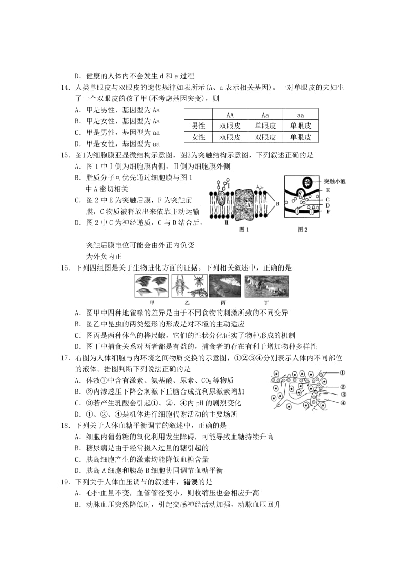 2016年上海松江区高二生命科学等级考一模.doc_第3页