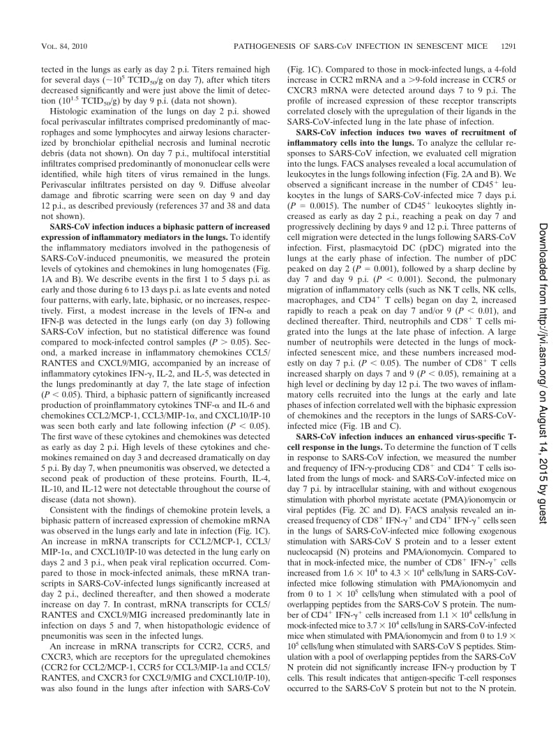 【病毒外文文献】2010 Cellular Immune Responses to Severe Acute Respiratory Syndrome Coronavirus (SARS-CoV) Infection in Senescent BALB_c_第3页