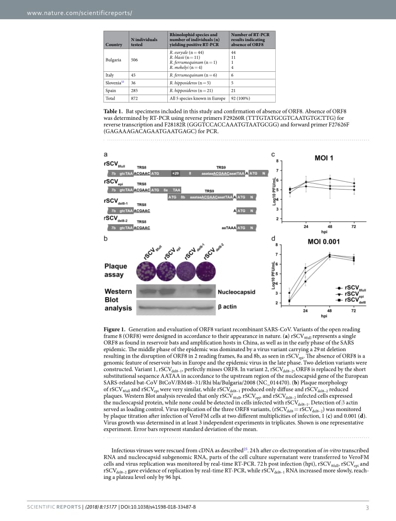 【病毒外文文献】2018 Attenuation of replication by a 29 nucleotide deletion in SARS-coronavirus acquired during the early stages of huma_第3页