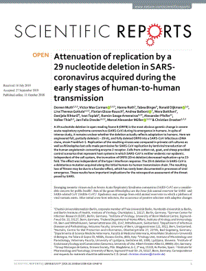 【病毒外文文獻(xiàn)】2018 Attenuation of replication by a 29 nucleotide deletion in SARS-coronavirus acquired during the early stages of huma