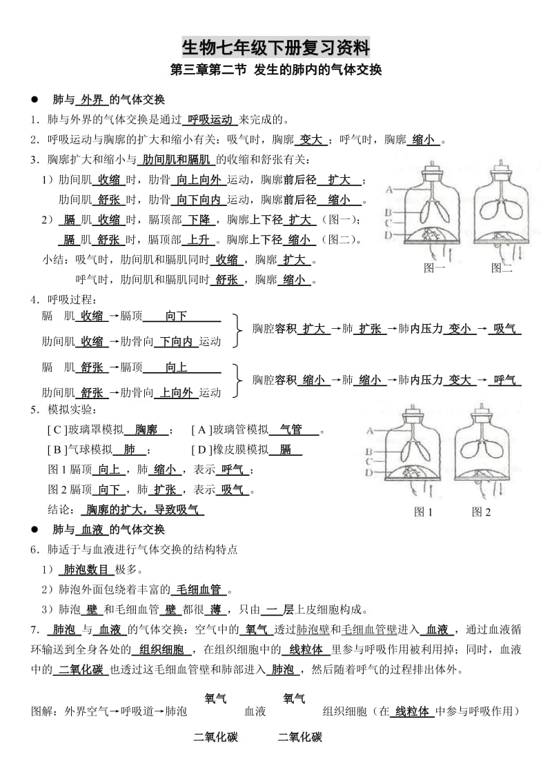 七年级下复习资料-血液循环、泌尿系统.doc_第1页