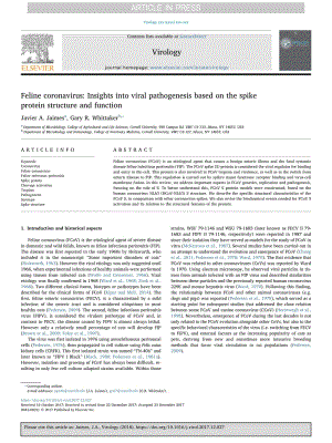 【病毒外文文獻(xiàn)】2018 Feline coronavirus_ Insights into viral pathogenesis based on the spike protein structure and function