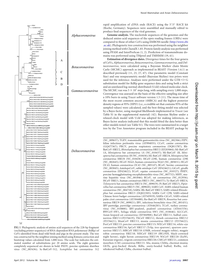 【病毒外文文献】2012 Discovery of Seven Novel Mammalian and Avian Coronaviruses in the Genus Deltacoronavirus Supports Bat Coronaviruses_第3页