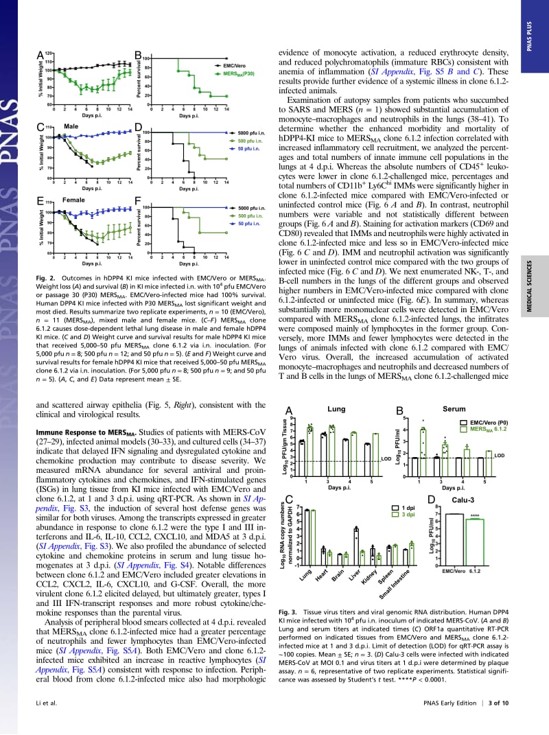 【病毒外文文献】2017 Mouse-adapted MERS coronavirus causes lethal lung disease in human DPP4 knockin mice_第3页