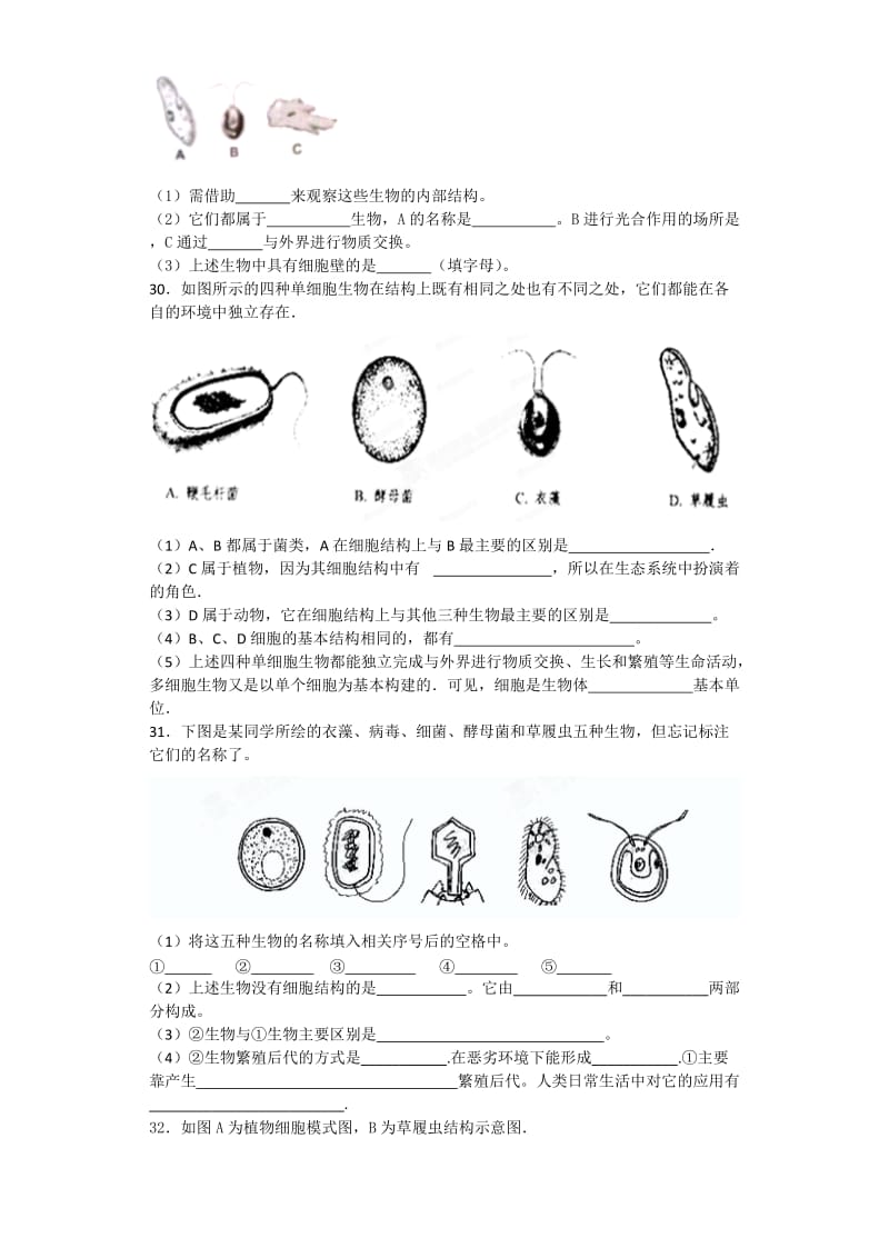 七年级上册生物第四单元.doc_第3页