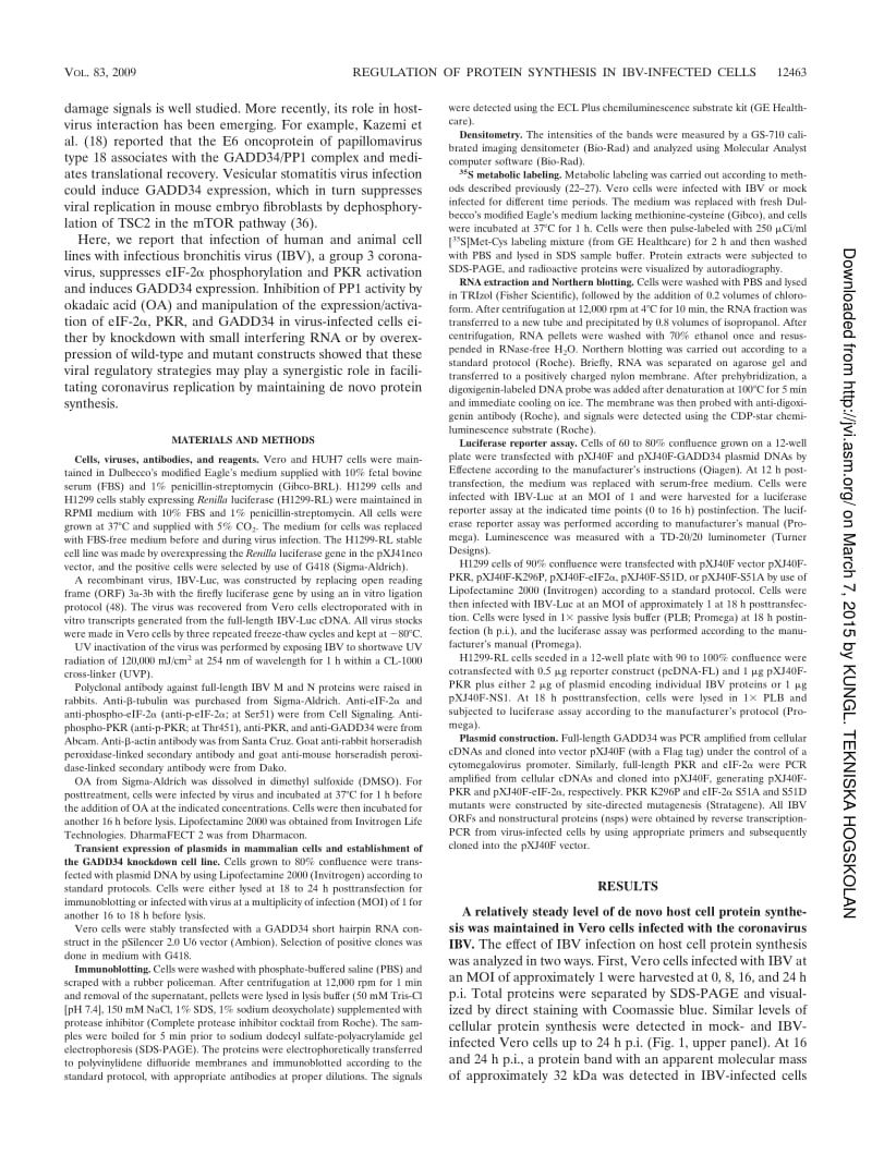 【病毒外文文献】2009 Inhibition of Protein Kinase R Activation and Upregulation of GADD34 Expression Play a Synergistic Role in Facilita_第2页