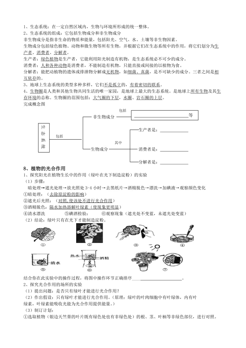 七年级上册生物期中复习提纲.doc_第3页