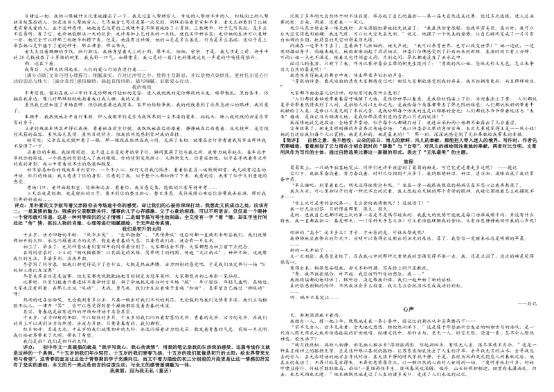 SOSO精选中考满分作文.doc_第2页