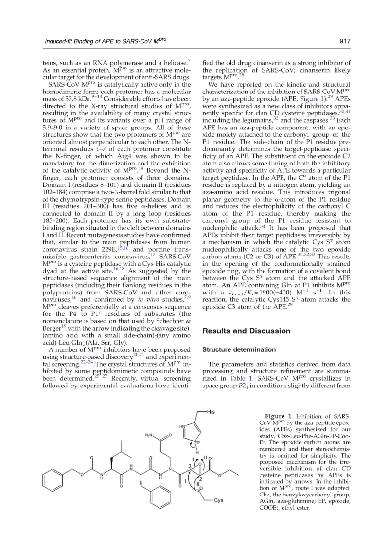 【病毒外文文献】2007 Crystal Structures Reveal an Induced-fit Binding of a Substrate-like Aza-peptide Epoxide to SARS Coronavirus Main P_第2页