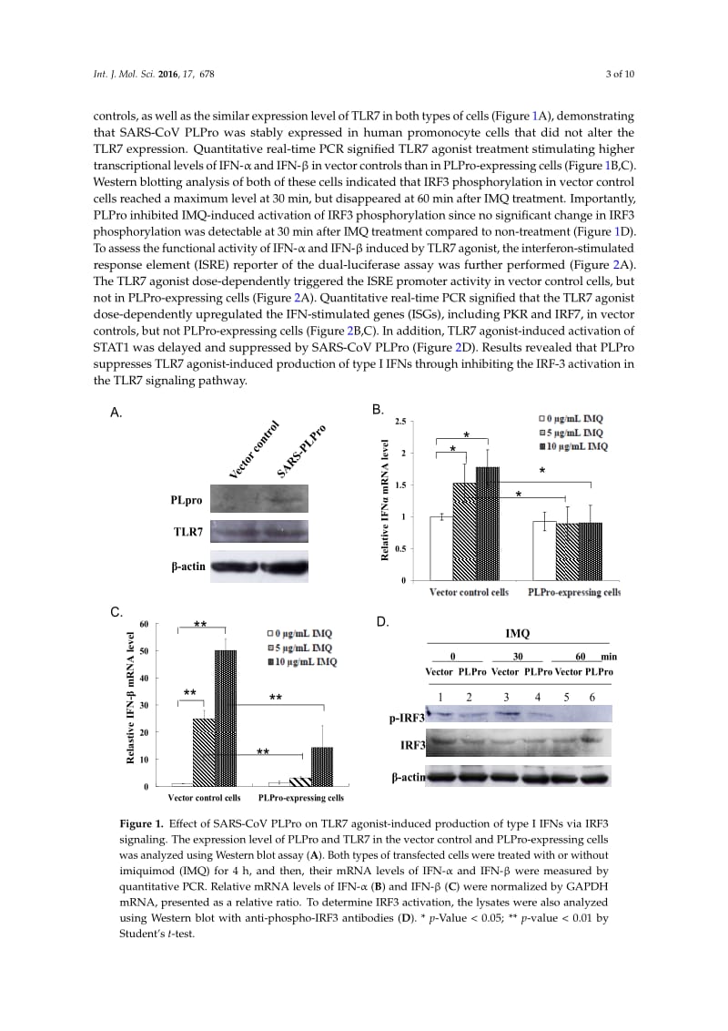 【病毒外文文献】2016 SARS Coronavirus Papain-Like Protease Inhibits the TLR7 Signaling Pathway through Removing Lys63-Linked Polyubiquit_第3页