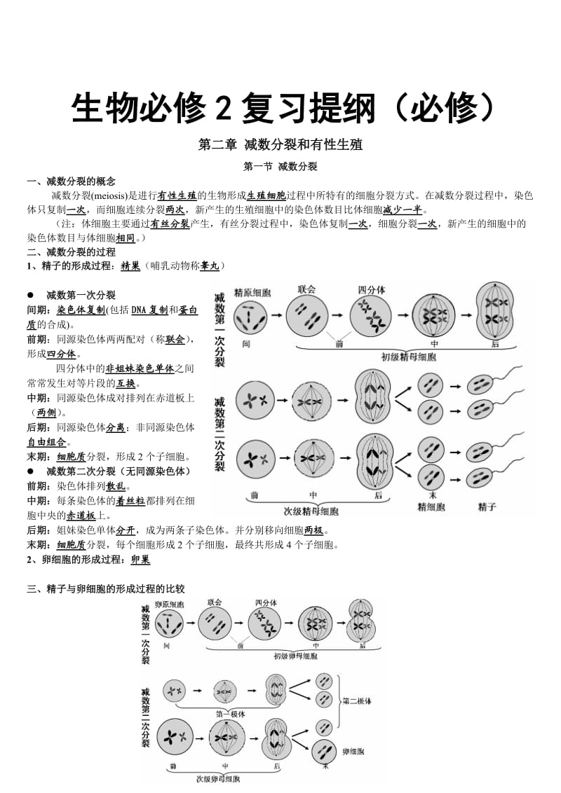 2010高考必备-生物必修2复习提纲(必修).doc_第1页