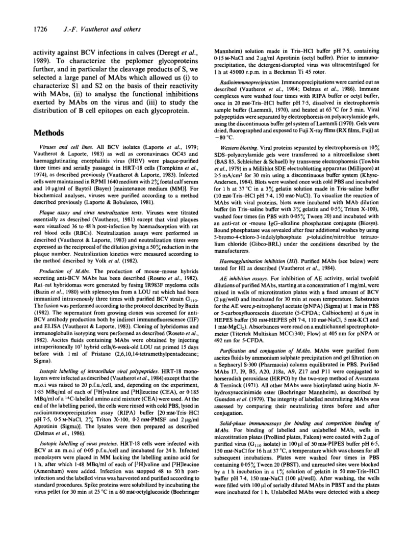 【病毒外文文献】1992 Bovine coronavirus peplomer glycoproteins_ detailed antigenic analyses of S1, S2 and HE_第2页