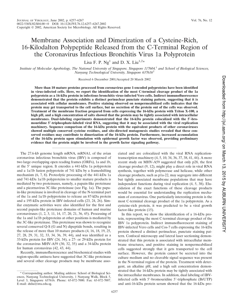 【病毒外文文献】2002 Membrane Association and Dimerization of a Cysteine-Rich, 16-Kilodalton Polypeptide Released from the C-Terminal Re_第1页