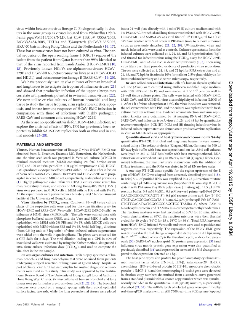 【病毒外文文献】2013 Tropism of and Innate Immune Responses to the Novel Human Betacoronavirus Lineage C Virus in Human Ex Vivo Respirat_第2页
