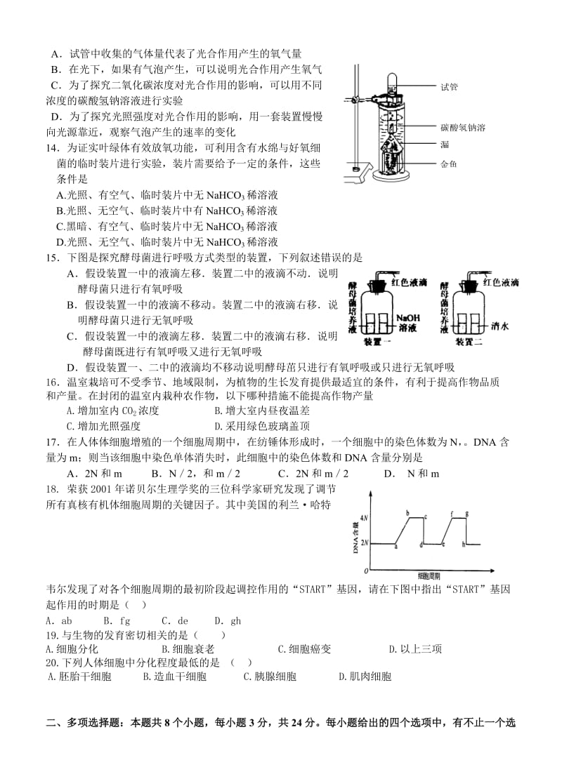 惠安一中高三生物暑期作业.doc_第3页