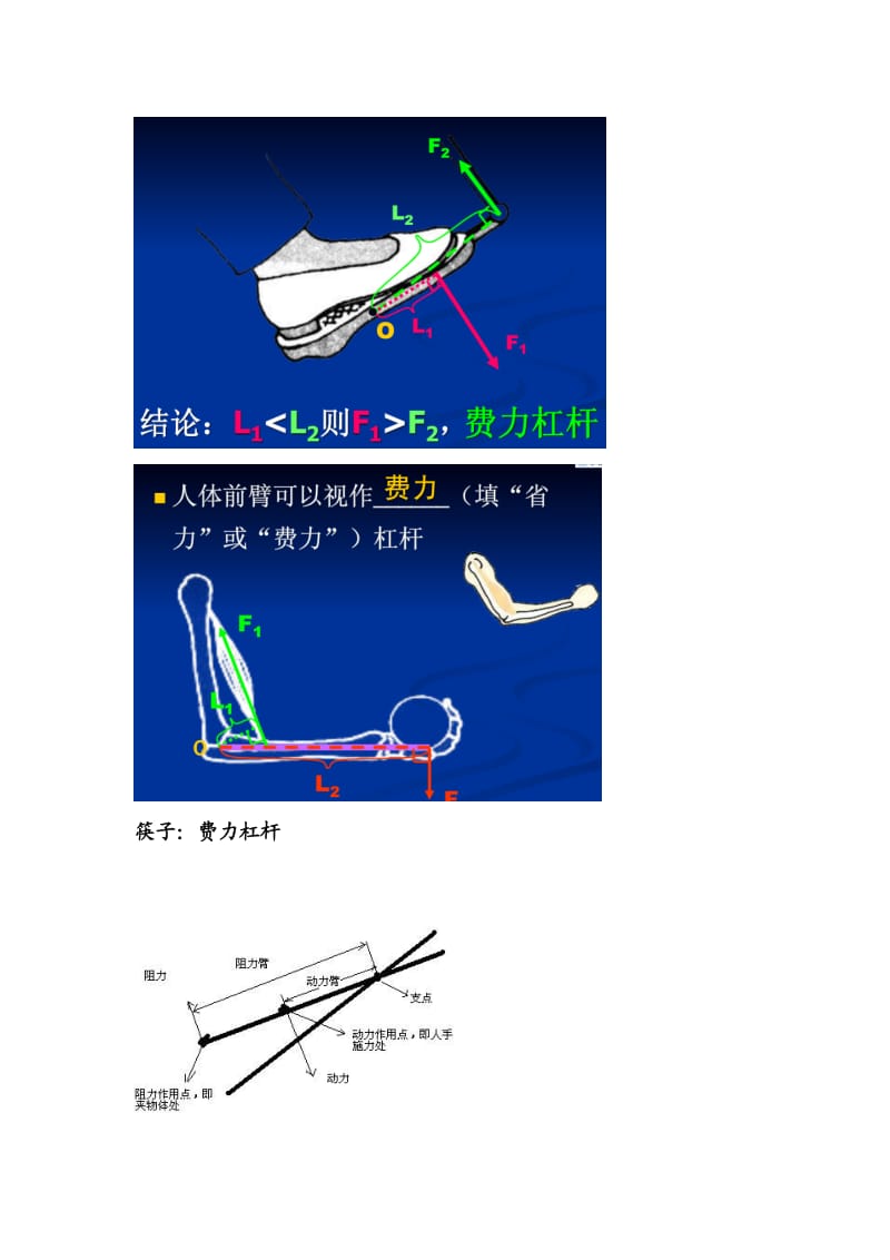 九年级物理生活中杠杆原理示意图.doc_第3页