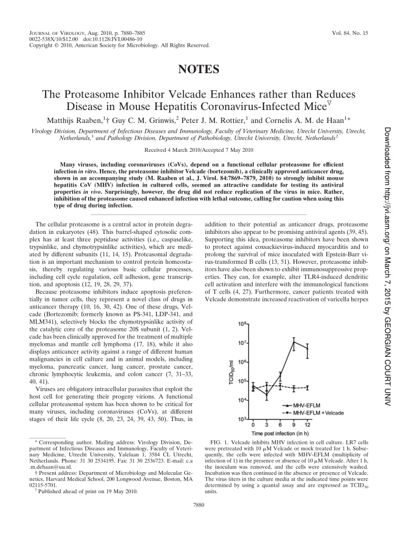 【病毒外文文献】2010 The Proteasome Inhibitor Velcade Enhances rather than Reduces Disease in Mouse Hepatitis Coronavirus-Infected Mice_第1页