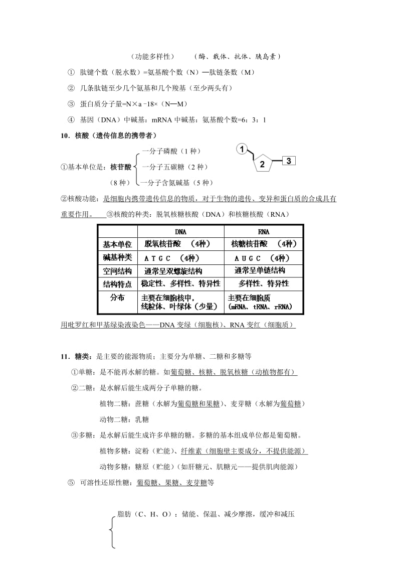 高一生物必修1知识点整理.doc_第3页