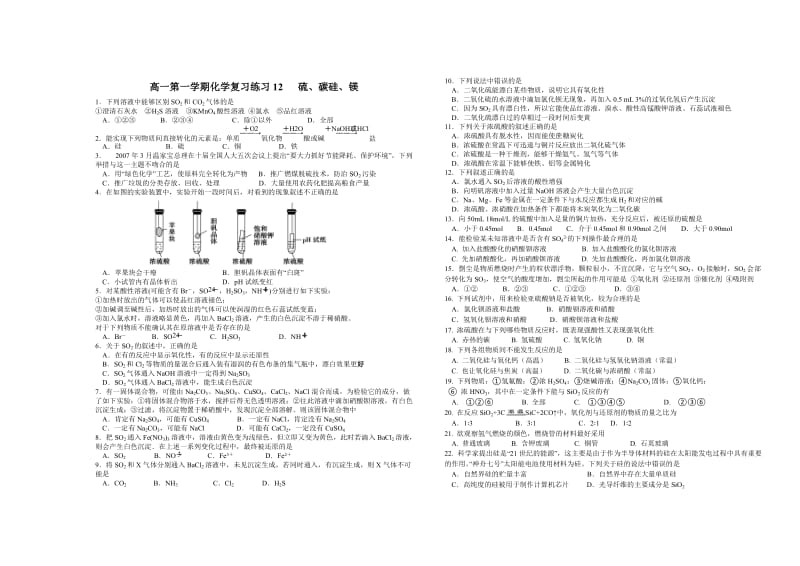 高一第一学期化学复习练习12硫、碳硅、镁.doc_第1页