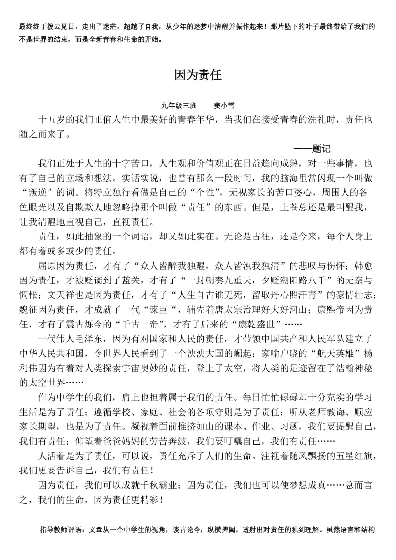 初中生优秀作文指导教师评语.doc_第2页