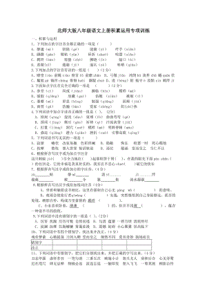 北师大版八年级语文上册积累运用专项训练.doc